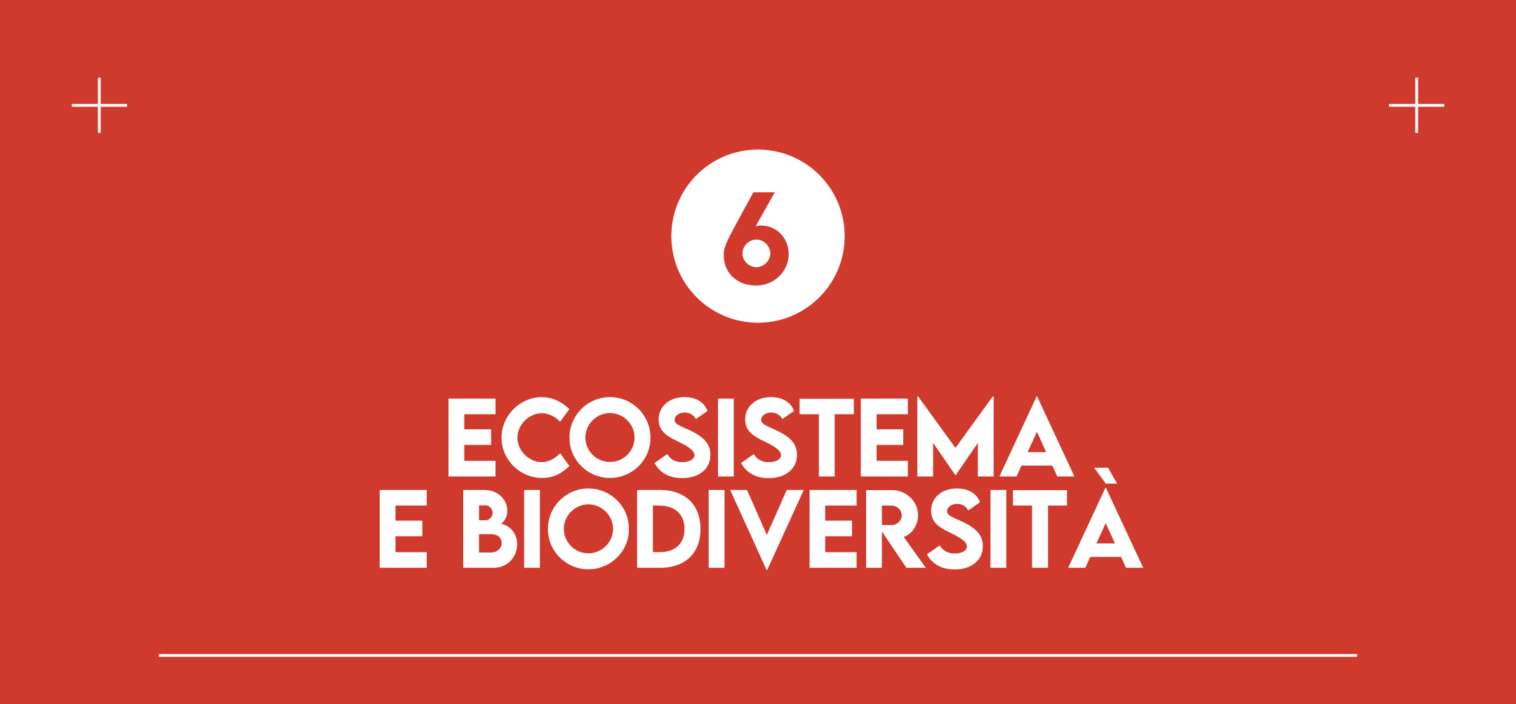 6. Ecosistema e Biodiversità: molte piccole aziende agricole locali sono impegnate nella conservazione della biodiversità e prestano grande attenzione all'equilibrio degli ecosistemi che la circondano. Mangiare prodotti tradizionali è un mood per allungare la vita a colture e culture che rischiano di scomparire sotto la spinta di uniformità del mercato globale e proteggere la biodiversità entrando in contatto con un mondo di sapori, ricette e tradizioni che ci porteremo dentro per sempre.