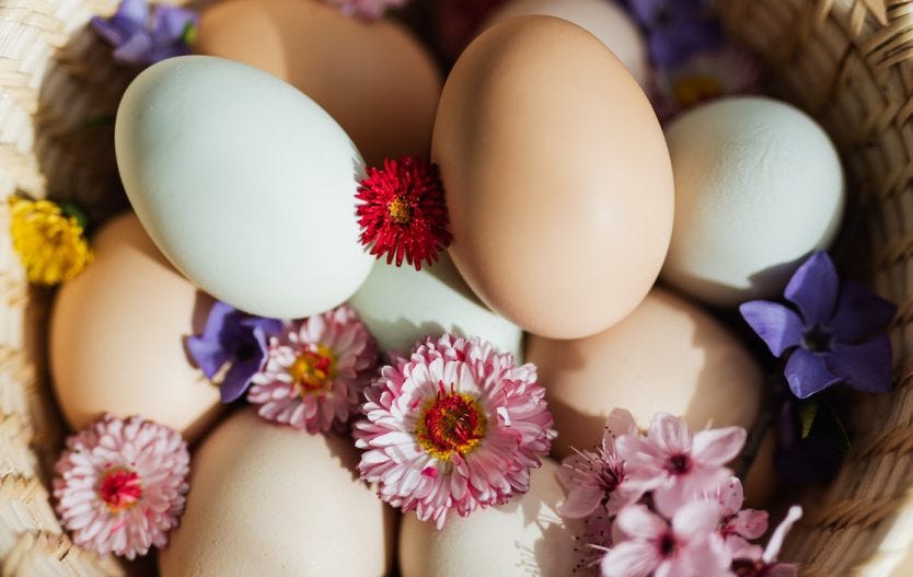 Uova di Pasqua colorate con fiori primaverili