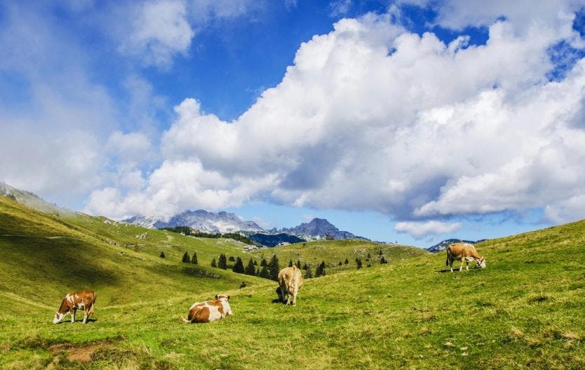 Certificazione biologica ICEA Trentino benessere
