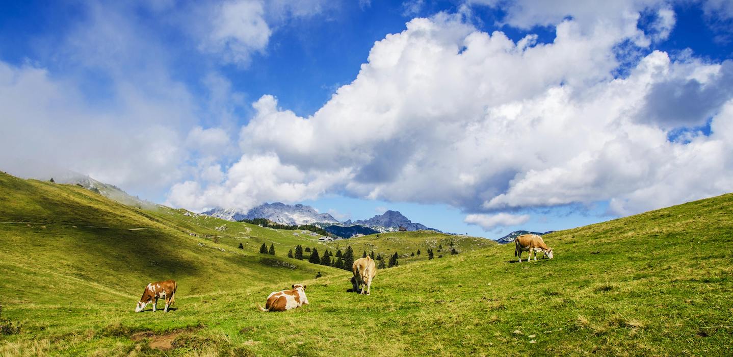 Certificazione biologica ICEA Trentino benessere