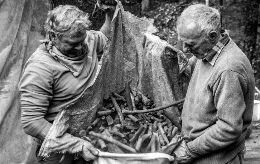 Carbonai del Trentino carbone vegetale