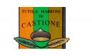 Logo produttore