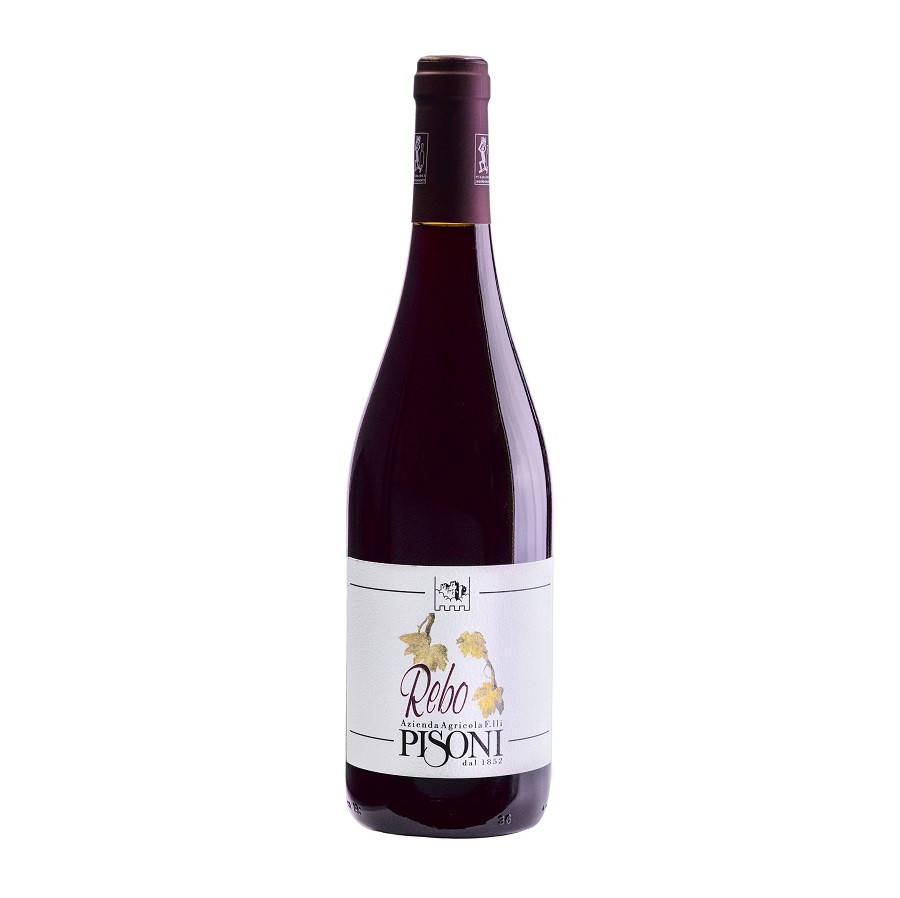 vino rosso IGT Dolomiti Rebo Biologico di Cantina Pisoni bottiglia da 0,75 l